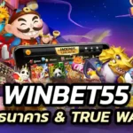 winbet55 เว็บตรง รับทุกธนาคาร & True wallet ไม่มีขั้นต่ำ